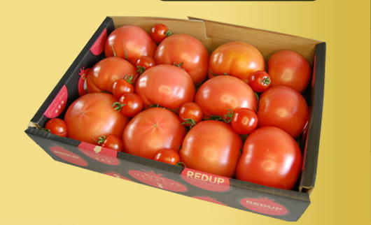 大特価SALE】半額 送料無料 ／ 訳ありソムリエトマト1箱 通常価格5,000