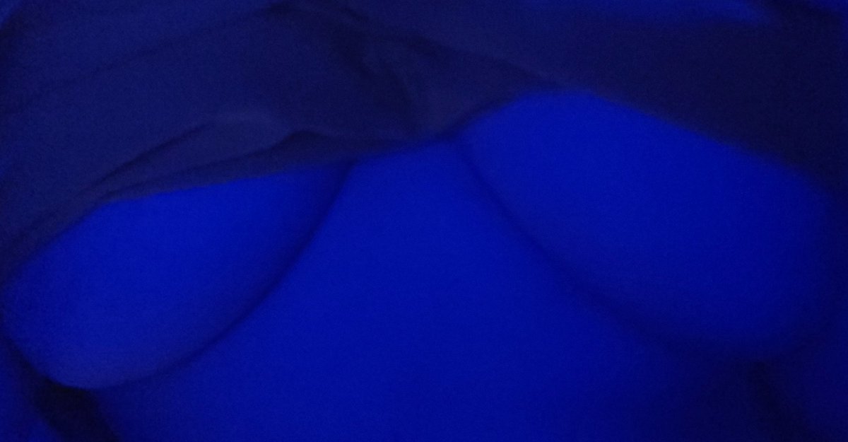 𓆩𓆪 tweet media