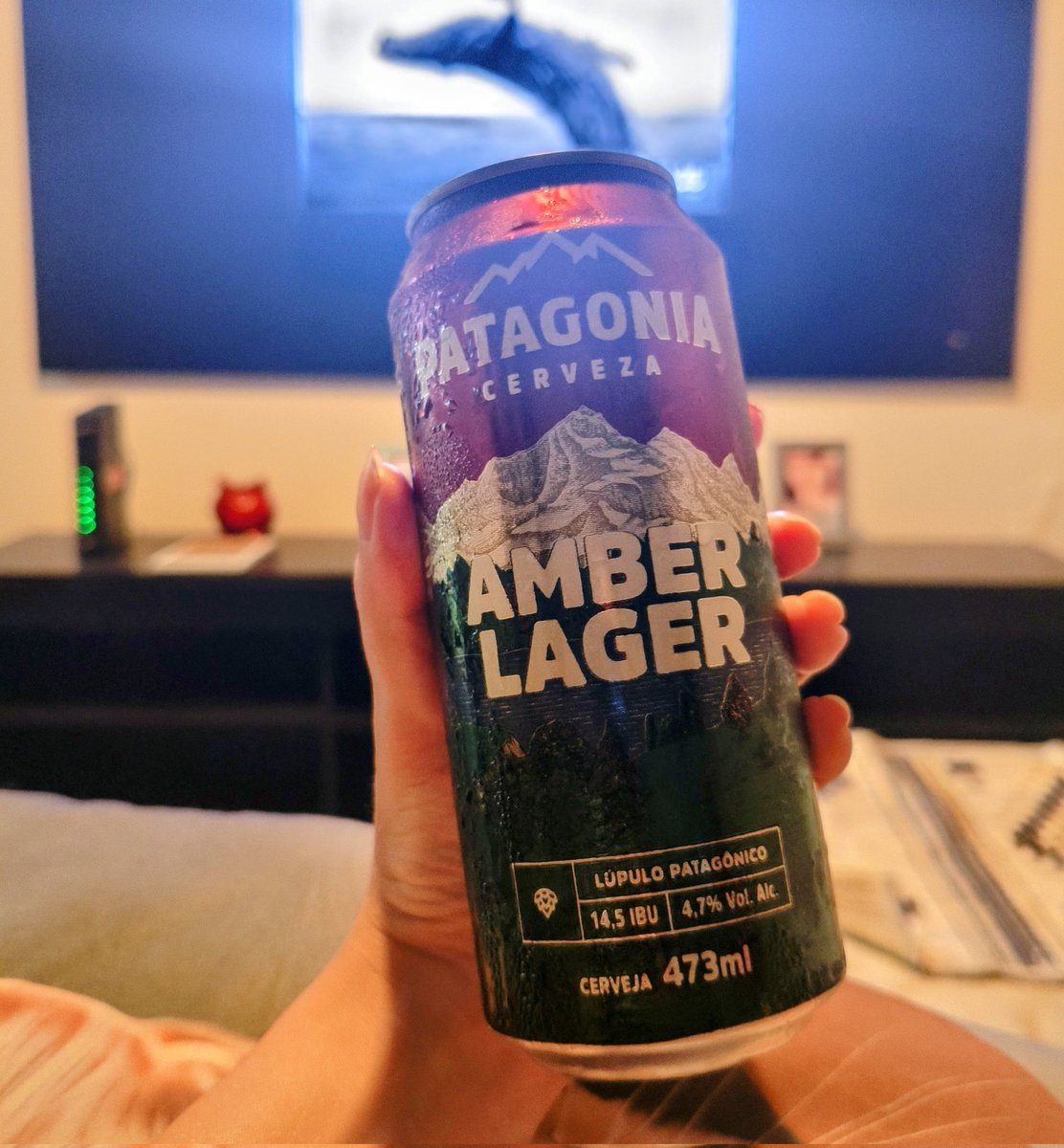 Será que já tá dando pra comprar a cervejaria Patagônia por 29 reais? Eu tenho interesse