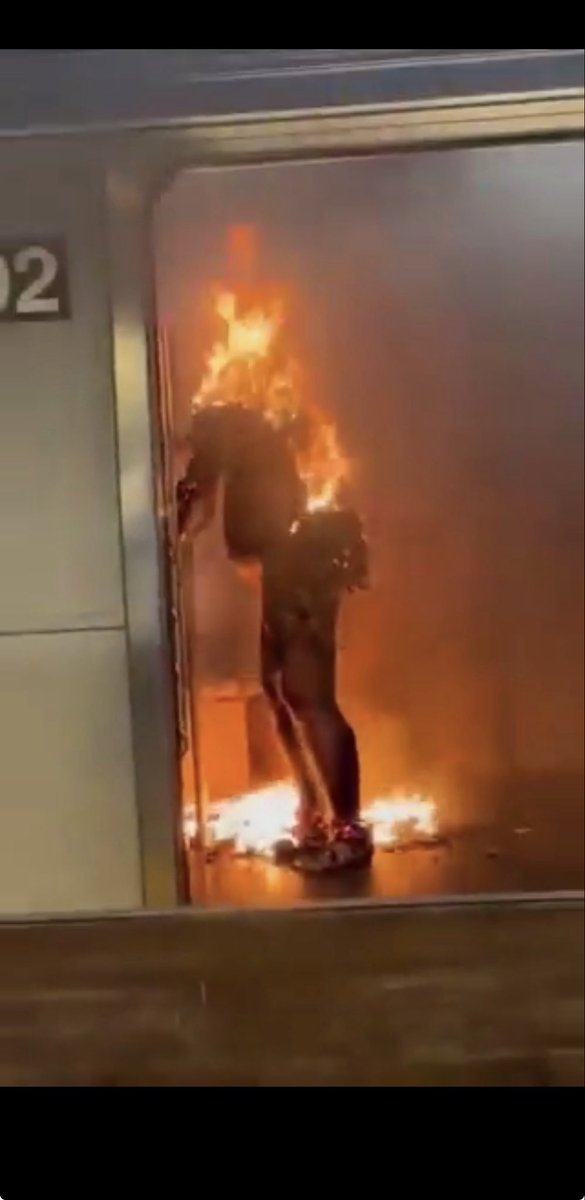 Free Bird 🦅🇺🇸 tweet media