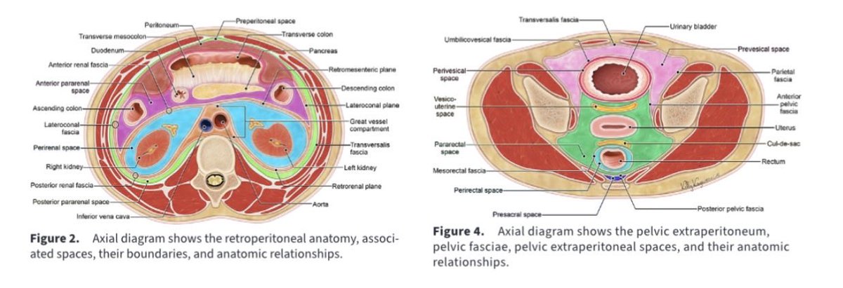 Baris Turkbey MD tweet media