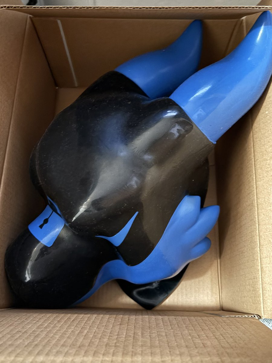 とうとう購入しちゃいました
今週から少し私用で着用できないけど、来月2月中に着用した画像をあげたい

ついでに誰かに調教されたい（この子のご主人様をこっそり募集中？