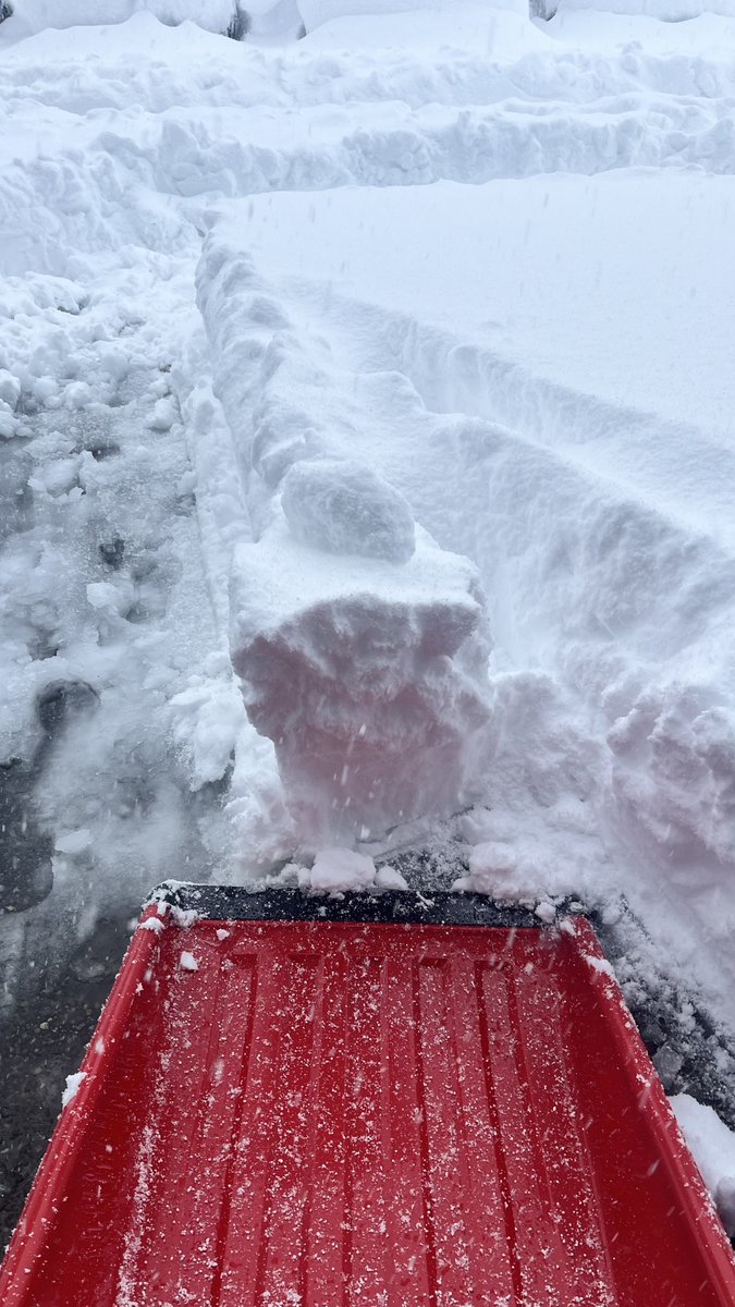 ほんまむり一旦離脱