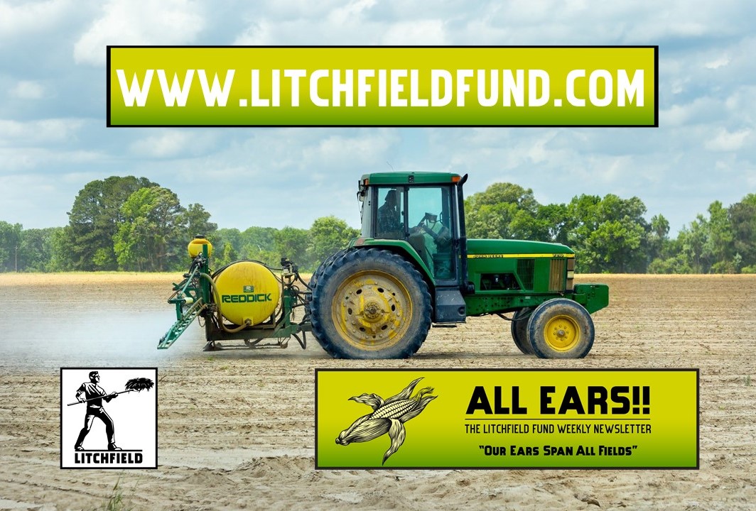 The Litchfield Fund tweet media