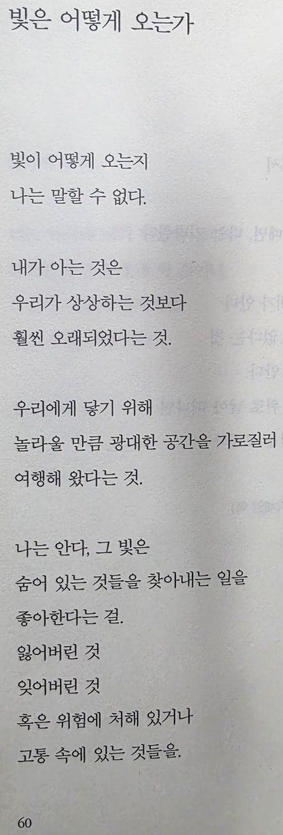 라이언요한 tweet media