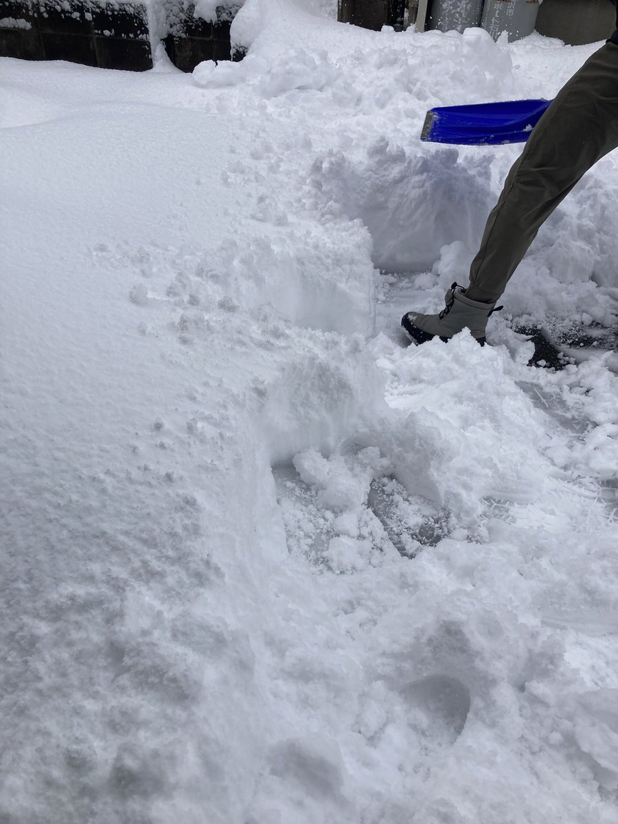 ayuka_3's tweet photo. 積もった雪。分厚い。 https://t.co/aVLRboU7Pk
