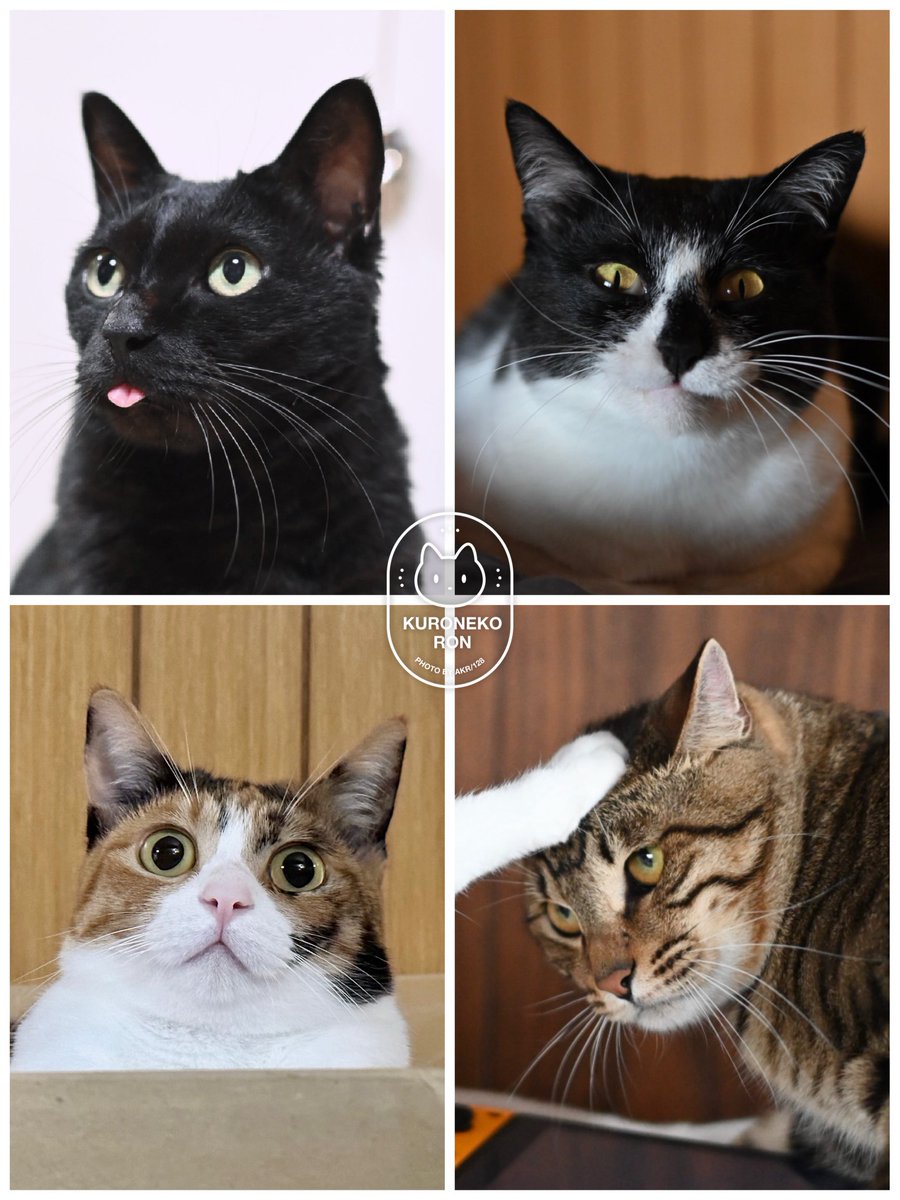 AKR (@bou128) / Posts / X