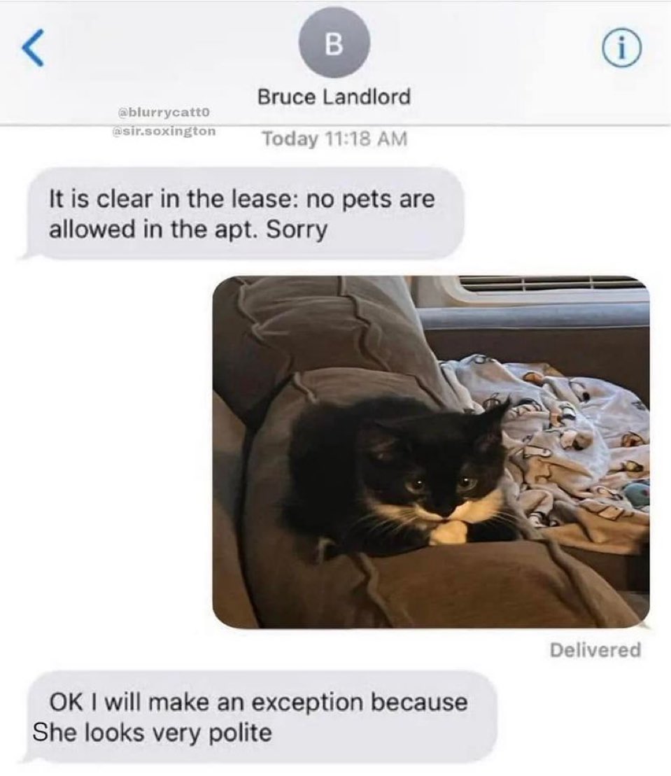 contents that ll heal your depression 🌻 (@catshealdeprsn) on Twitter photo 