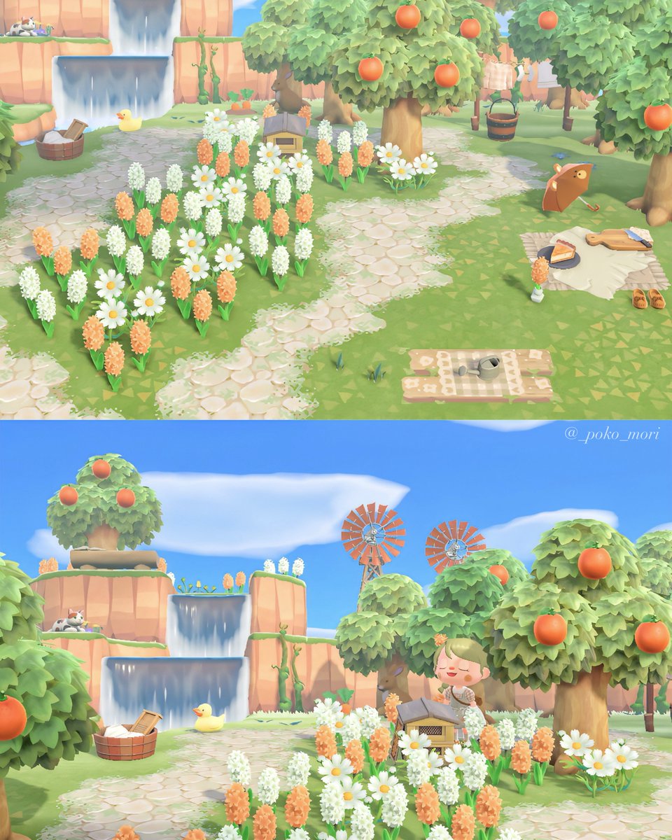 ᴘᴏᴋᴏ tweet media