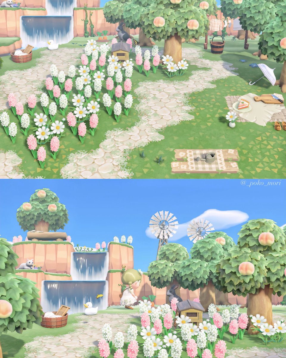 ᴘᴏᴋᴏ tweet media