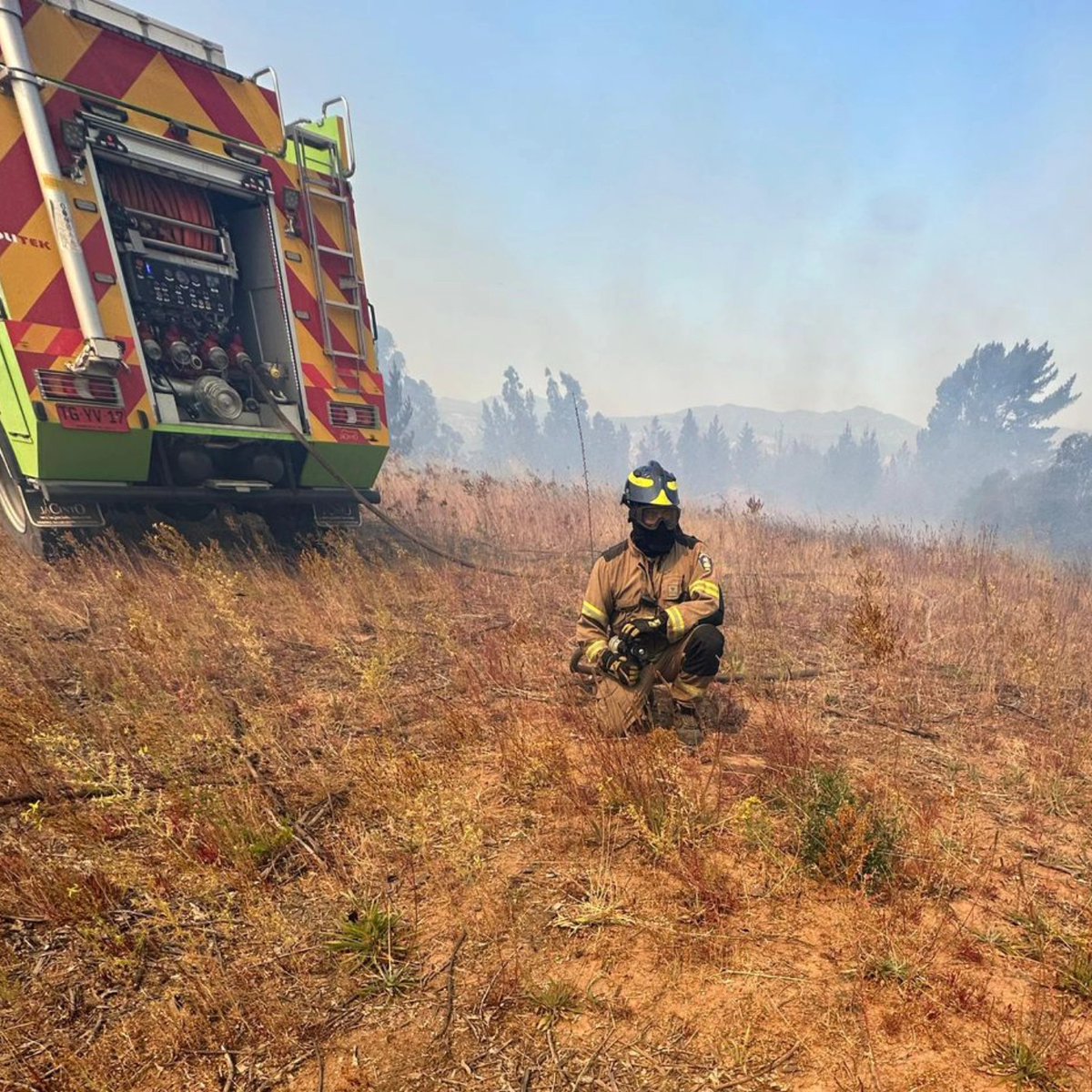 Alejandro Alegria 🌴 tweet media