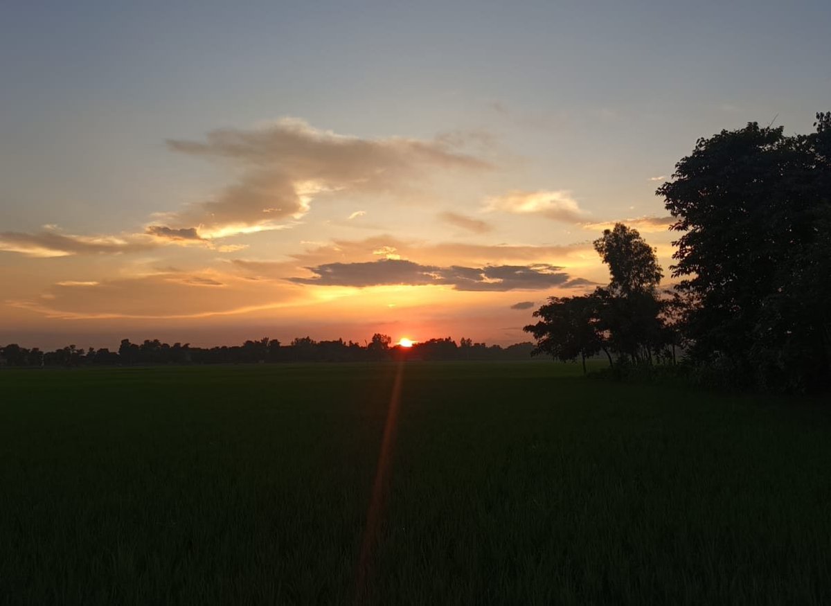 आज फ़िर से एक नई सुबह नई उम्मीदें लेकर आई है।
आपका आज का दिन शांत, स्वस्थ और सफल हो, ऐसी कामना है।
ईश्वर आपको हर कदम पर आगे बढ़ाए।
शुभ दिन हो! ✨