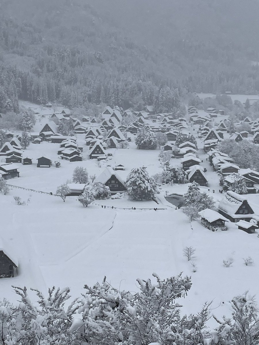 今日の白川郷（雛見沢）❄️