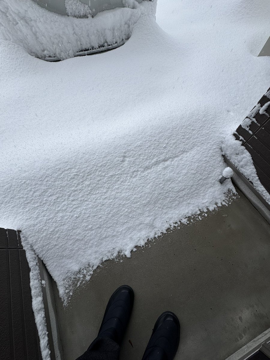 nkou54's tweet photo. 家から出られない…
#雪 #金沢 https://t.co/WKxQ3fEM5U