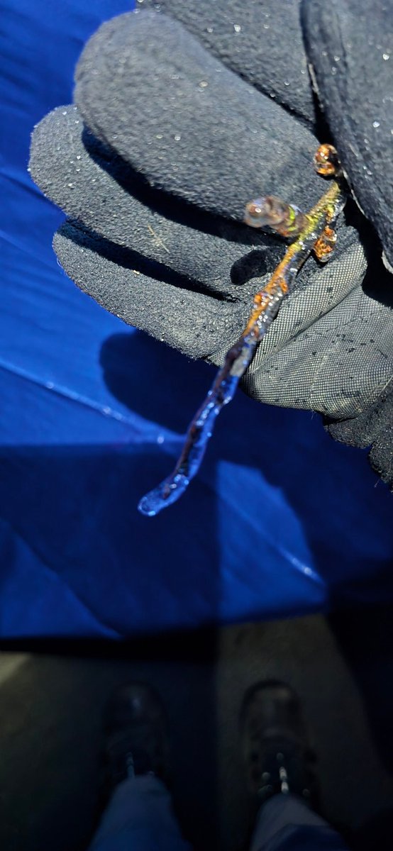 ghostduster19 tweet media