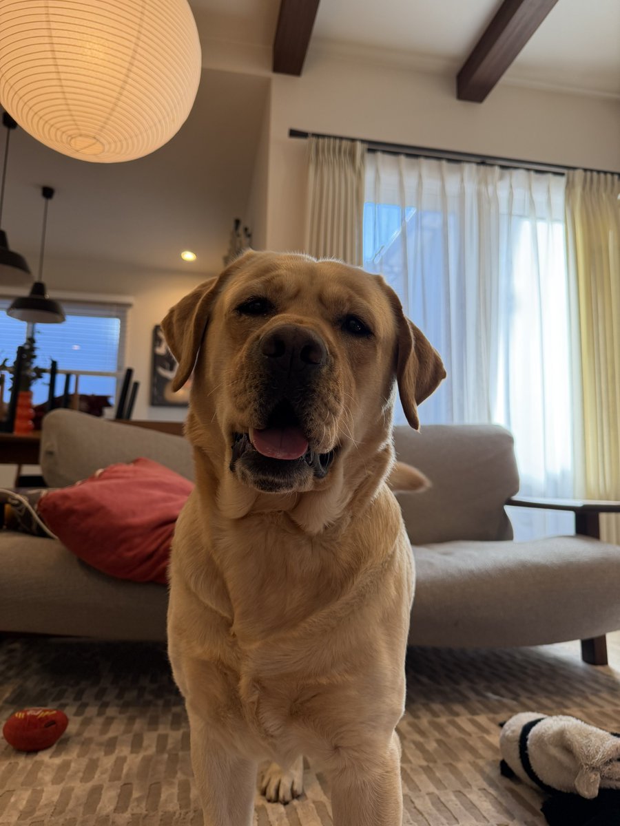 えへへ、いいでしょ〜それぇ🐶✨