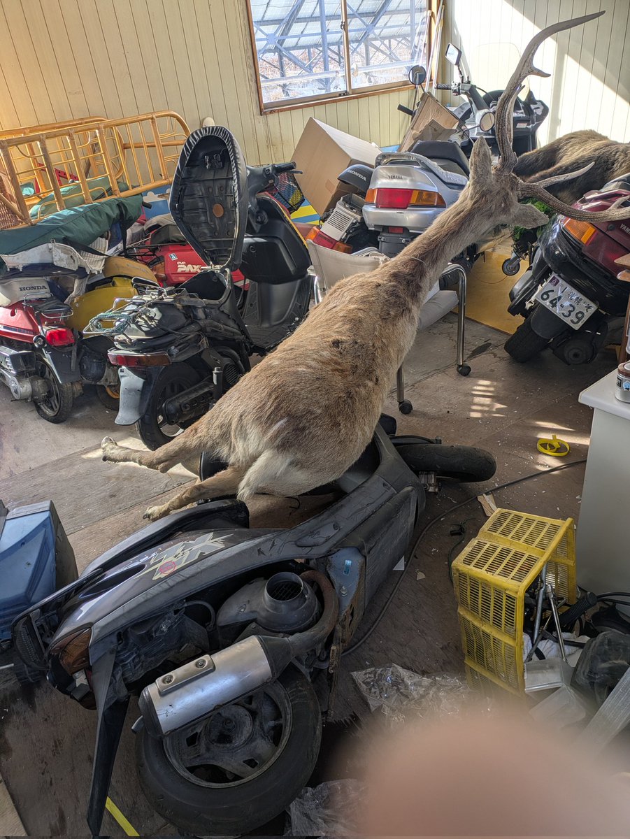 かよちゃん✾ Forever Blue Ranger (Part 3) Yuji Mita/OhBlue: Masashi Goda