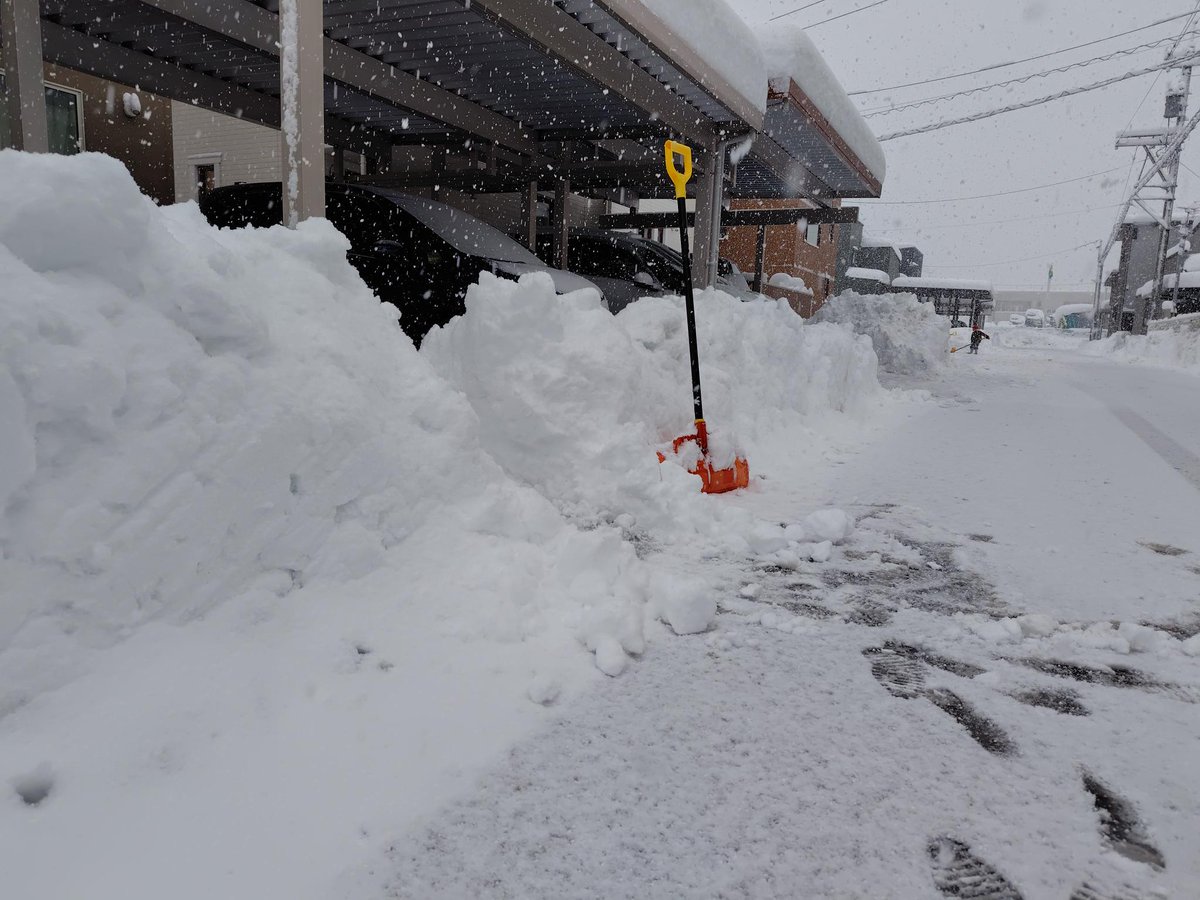 今朝の石川県は、非常に多くの雪が積もりました。（60cmくらいでしょうか）
除雪車が走ると、雪壁ができ、除雪作業がとても大変です・・。こうなると外に出るまでに一時間以上かかり、クタクタになります。
#大雪
#除雪中