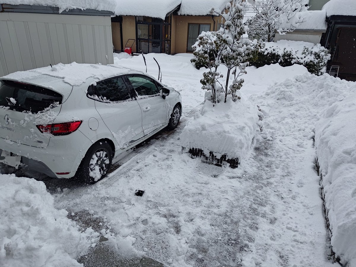 teketeke5's tweet photo. どうにか除雪。腰が死にそう。。。💦
しかし除雪車入ってこないし出れないな。。。 https://t.co/SEOz3C5lZQ