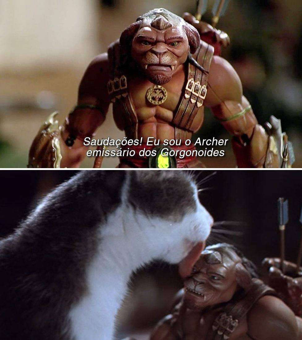 Bichinhos fofinhos pra quem ta cansado tweet media