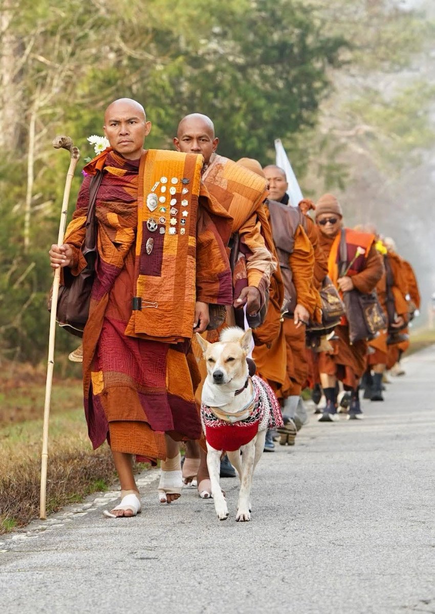 LorenzoTheCat's tweet image. Meanwhile, the Buddhist monks are still Walking for Peace with their ascot dog, Aloka. They arrived in Raleigh, NC today.