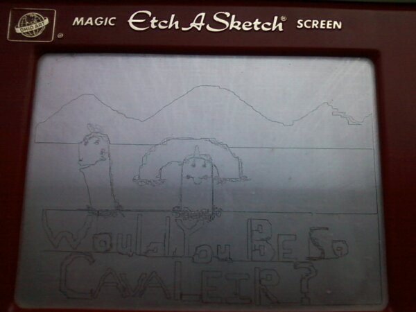 🏁Calculator Kittycat🈲 tweet media