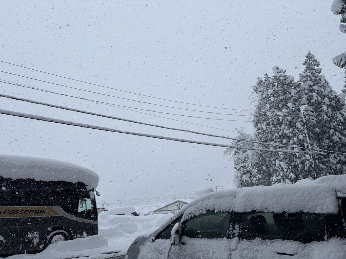 CookiemanLc's tweet photo. 昨日からの雪でめちゃ積もってる https://t.co/z1QrGlaDlv