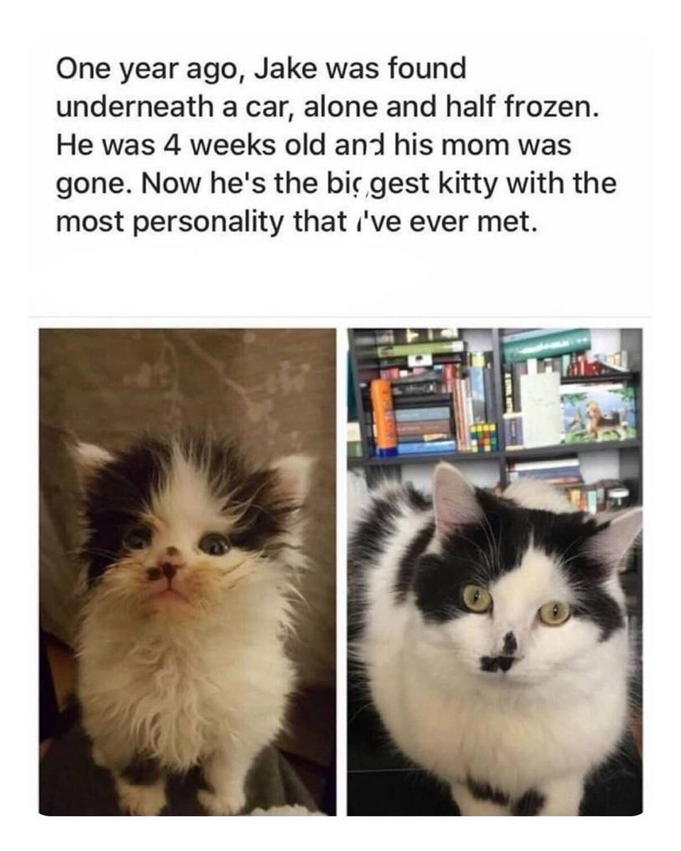 ❤️ ❤️ ❤️