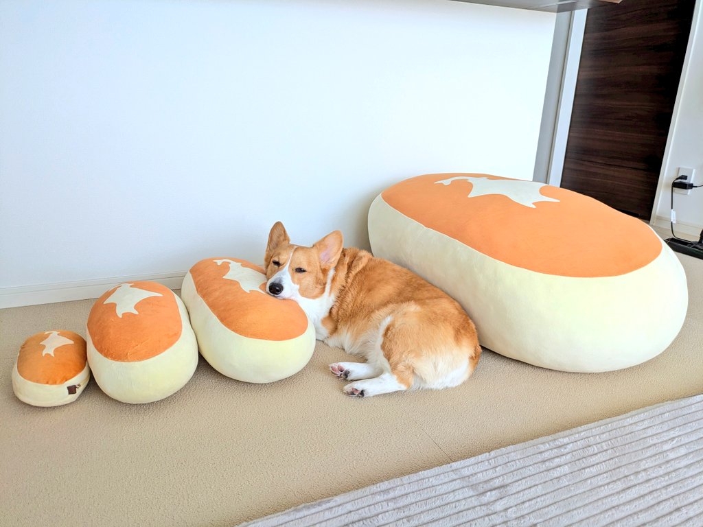 北海道チーズ蒸しケーキ選び放題