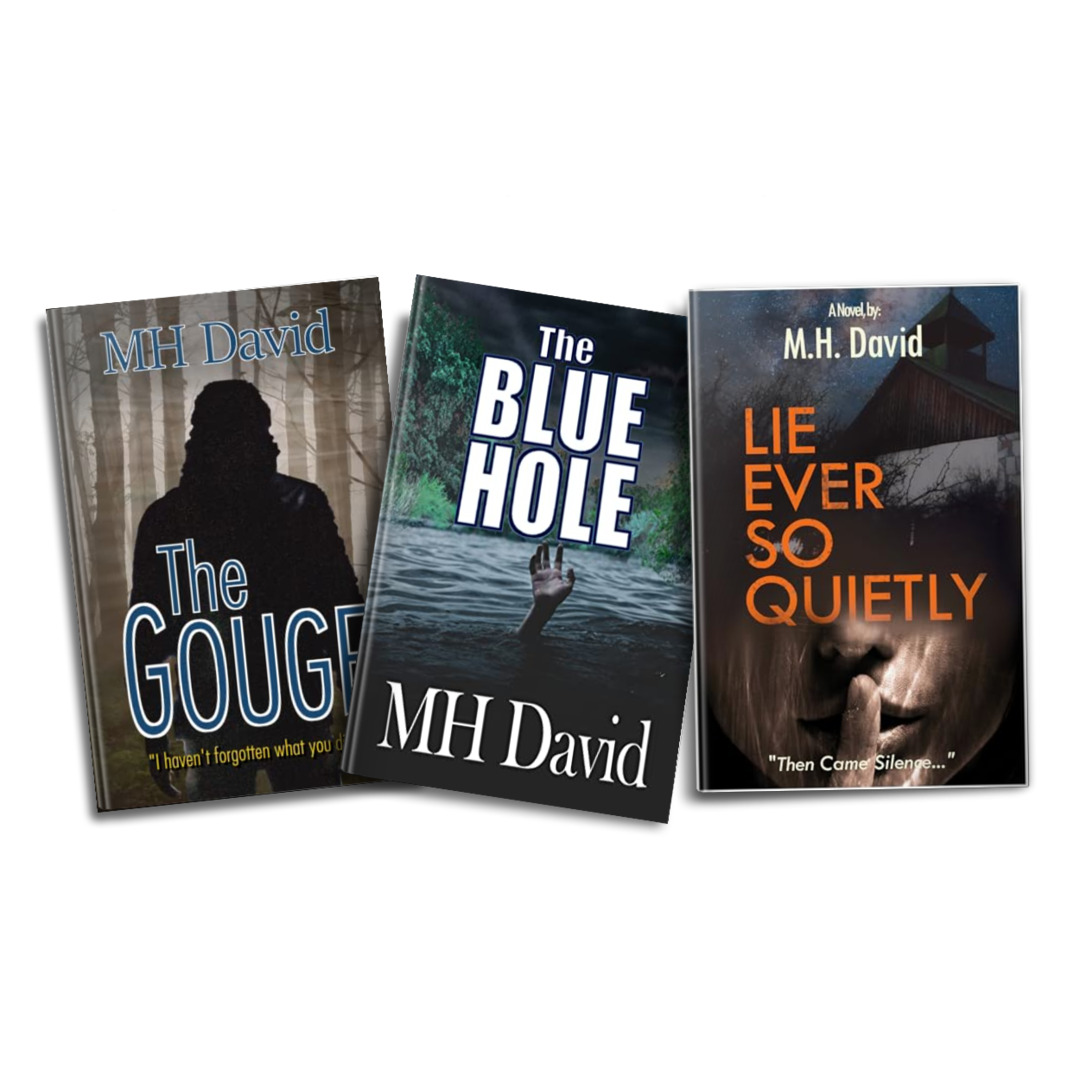 Author M H David tweet media