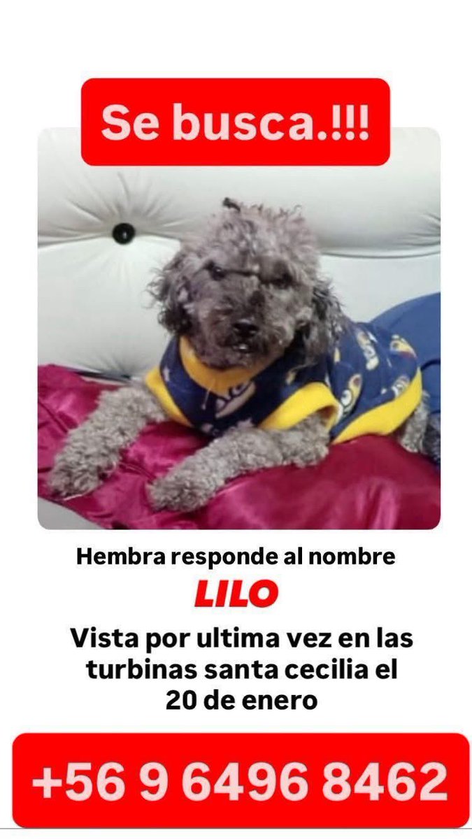 Evelyn_Torres_h's tweet photo. Se busca a Lilo visto última vez en las turbinas con Santa Cecilia rt https://t.co/y3yoRNkdF5