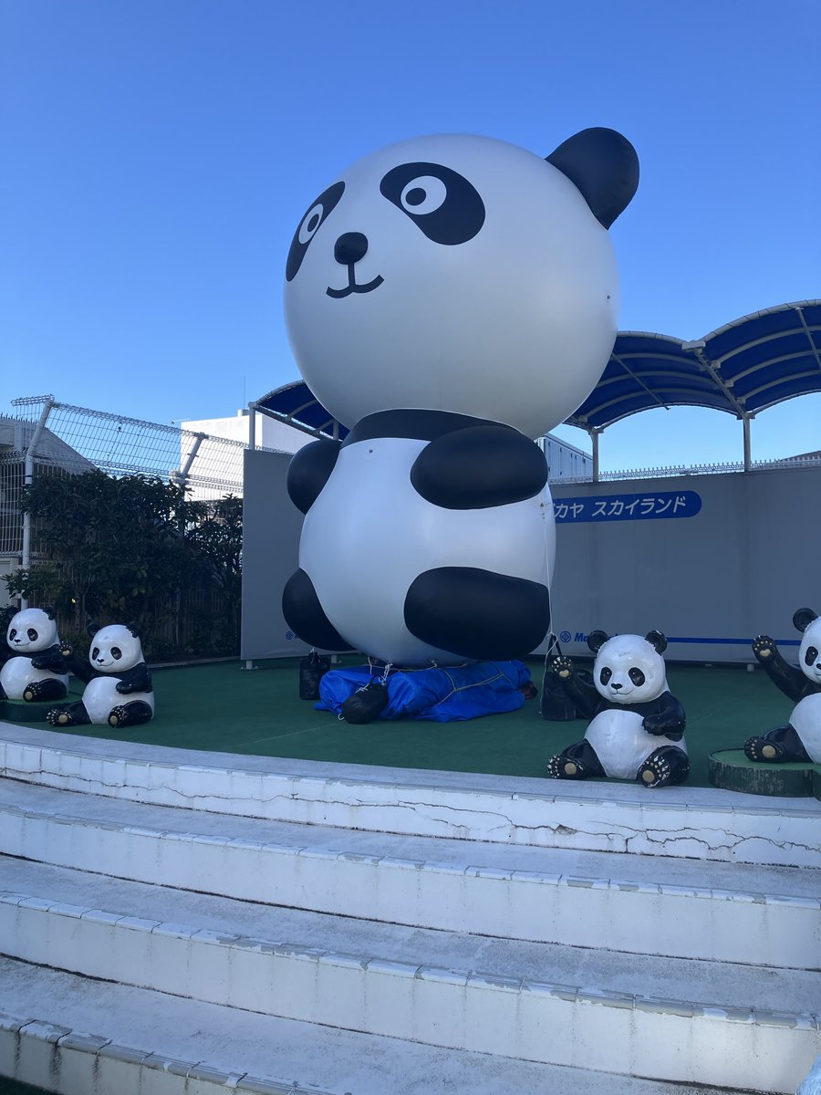 【パンダアドバルーンについて】
ただいま掲揚中のアドバルーンにつきまして、強風のため掲揚を一時中断いたします。あしからずご了承ください。（パンダアドバルーンはただいま屋上のステージに設置しております。）
※今後の情報につきましては、当Xをご確認ください。