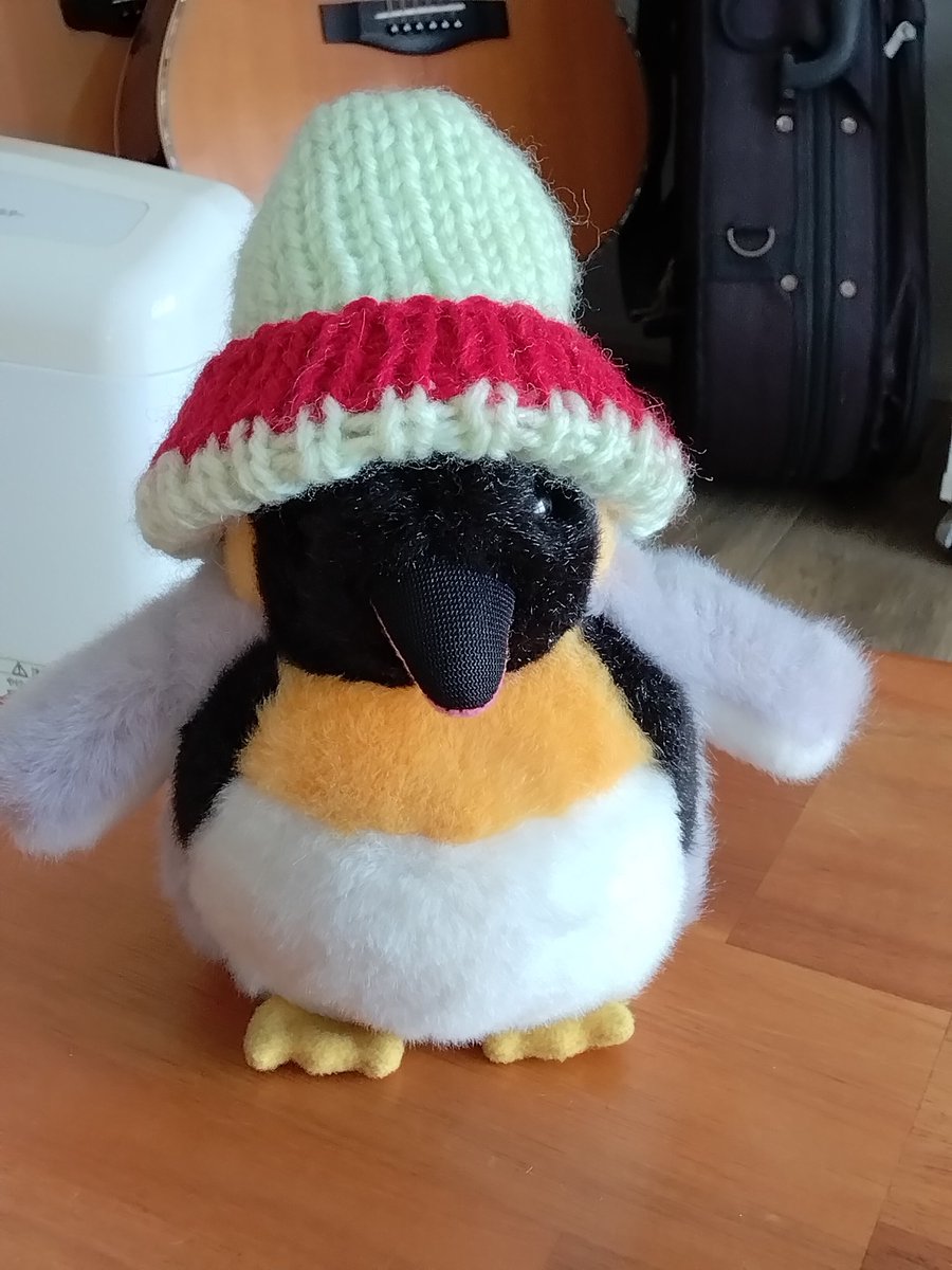 にゃー吉 (@nya_kichi_1215) / Posts / X