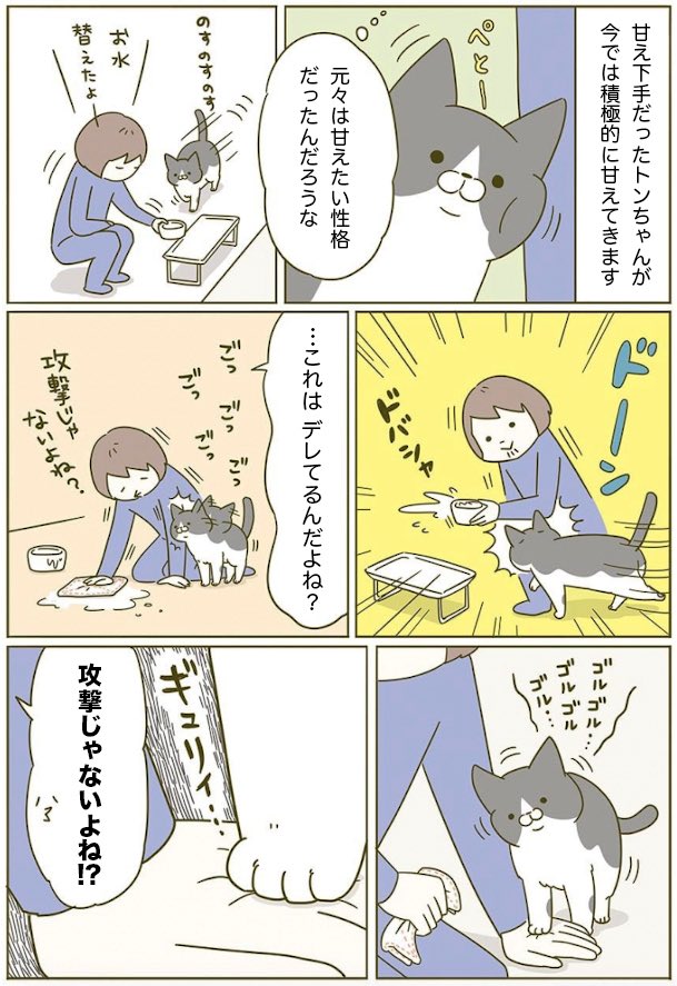 パワー系のデレ🐱 