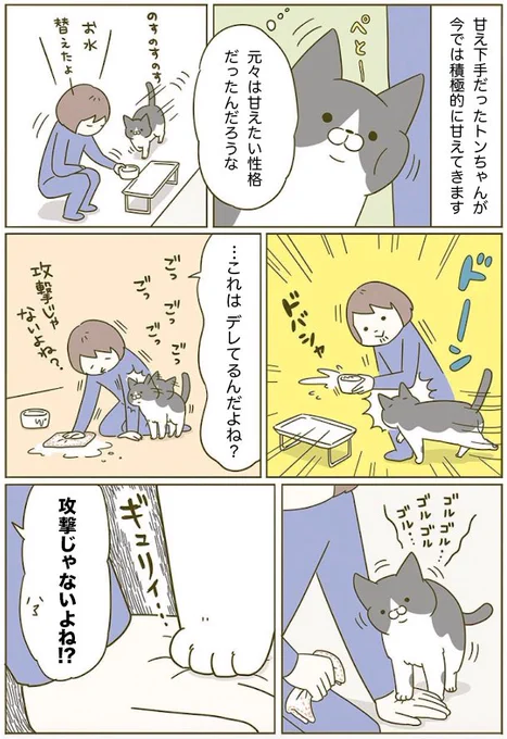 パワー系のデレ🐱 