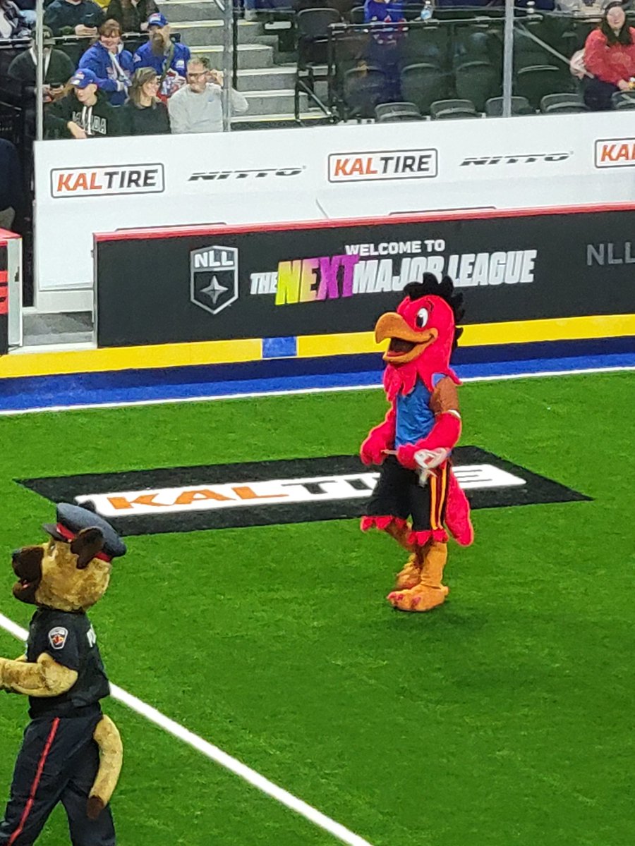 Paul Armstrong tweet media