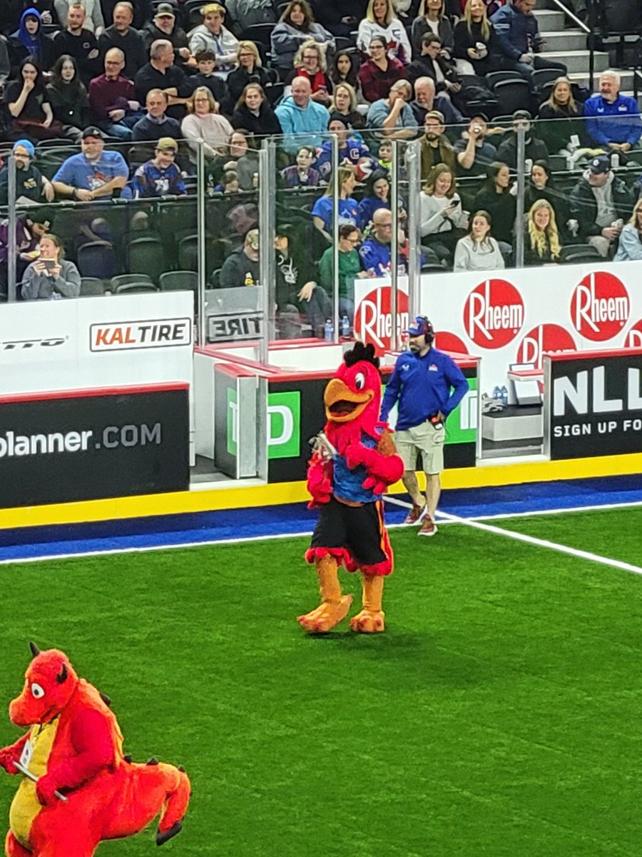 Who knew that "Mo" is a lacrosse star.  <a href="/MoMountaineers/">Mohawk Mountaineers</a> <a href="/MohawkCollege/">Mohawk College News</a> <a href="/TorontoRockLax/">Toronto Rock</a>