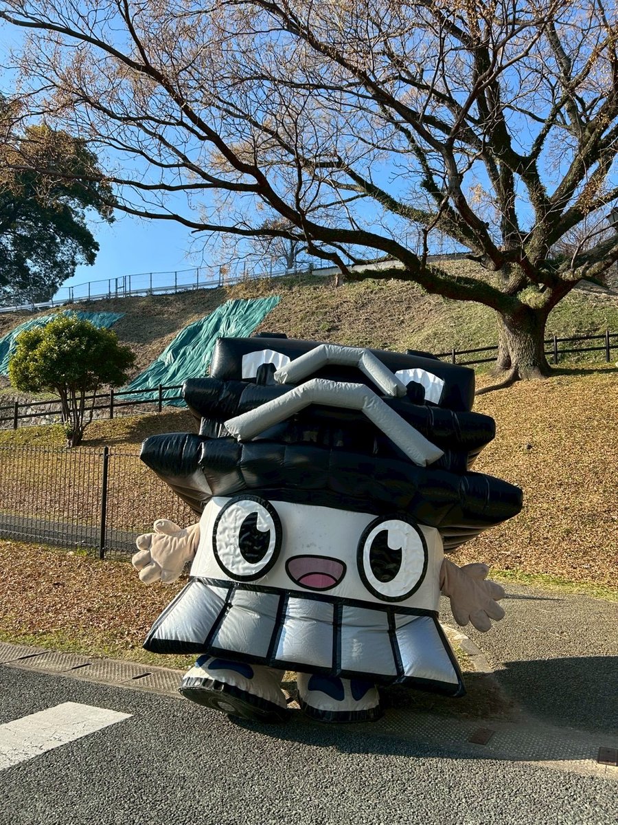 ひごまる【公式】 tweet media