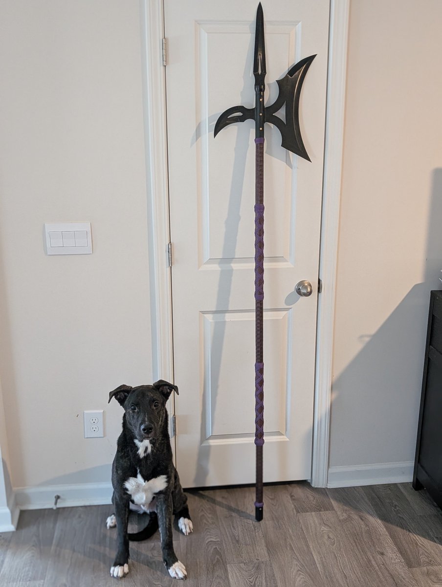 Bugskipper tweet media