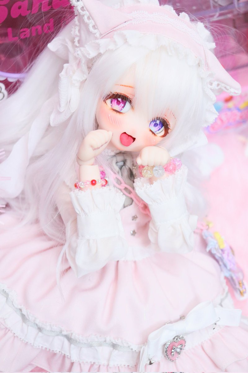 宣伝失礼します🙇🏻‍♀️⸒⸒
リポストお願いします🙏🏻🤍
こちらの白猫ちゃんな27番ちゃんのお家探しを始めました🏠💭
よかったら見に来てください🫶🏻💗
無事にお家が見つかりますように🎀🪄︎︎

 auctions.yahoo.co.jp/seller/CLv7e1s…

 #みるき〜娘
 #MDDはいいぞ