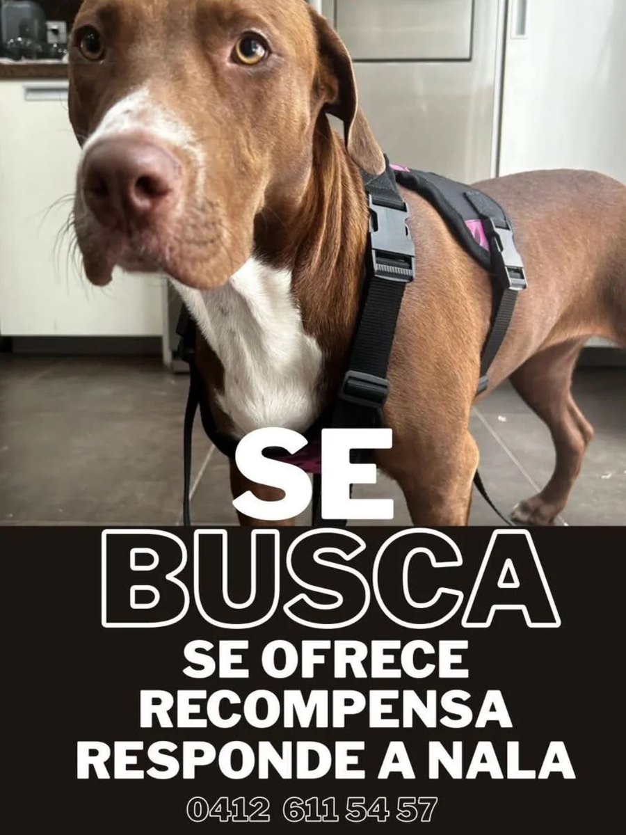 CarmenZR04's tweet image. 