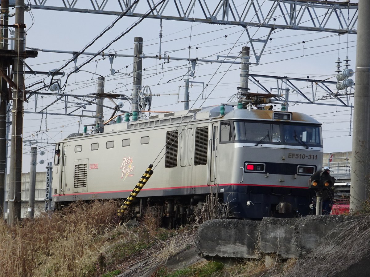 大人気だった為2つだけ、入荷しました☺︎ なんだかな・・といった印象。