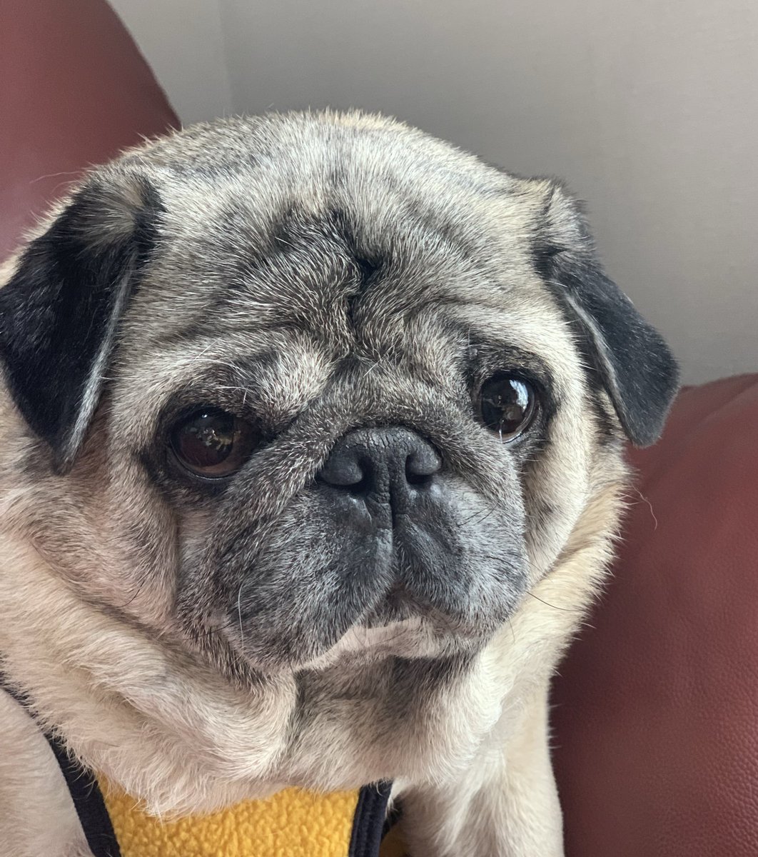 もうすぐ富士山が出現する❗️はず…

わかるかなぁ🗻