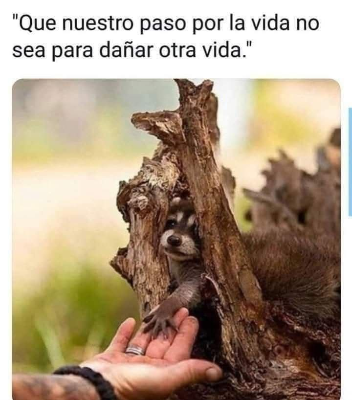 🌱 ¡Cada gesto cuenta para cuidar la vida! 🤲
