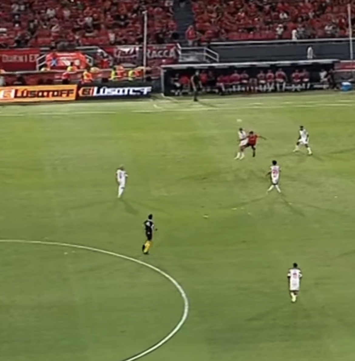 Lucas Scagliola tweet media