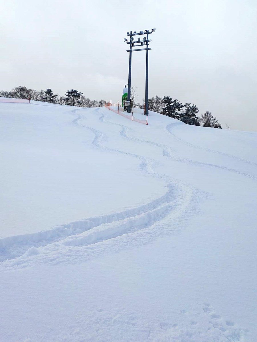池の平スノーパークは昨夜35cmほど新雪が積もりました⛄圧雪エリア、パウダーエリアで思い思いのシュプールを描いてくださいね⛷🏂