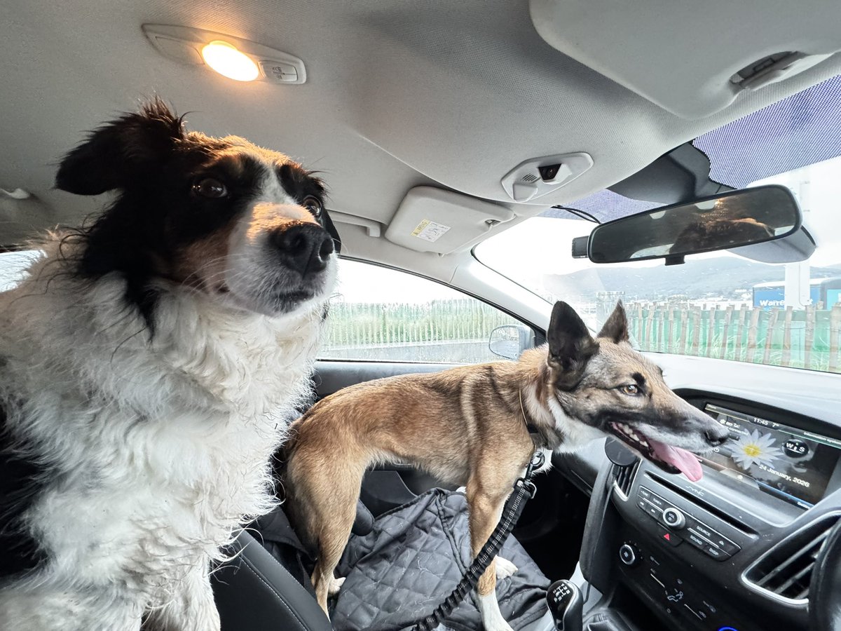 Phil Goan tweet media