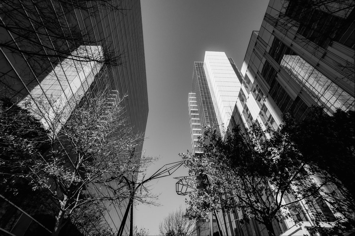 CesarDDV's tweet photo. Eyes Up! We’re so focused on looking around to catch the moment that we forget to look up.... https://t.co/Ax78gfAR4R