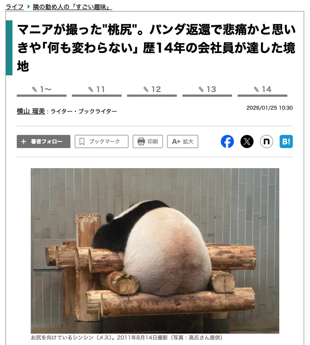 パンダ様 高氏さんの写真にもパンダ愛が溢れている。この瞬間を撮るのにいったい