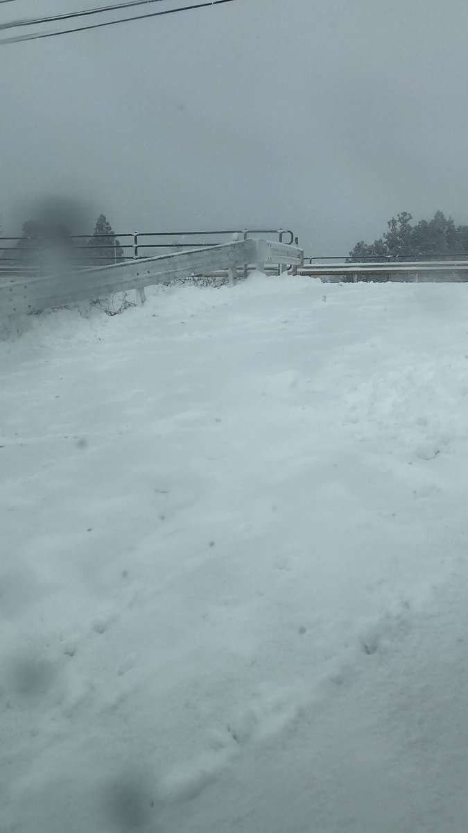 アウトー
でれまへん